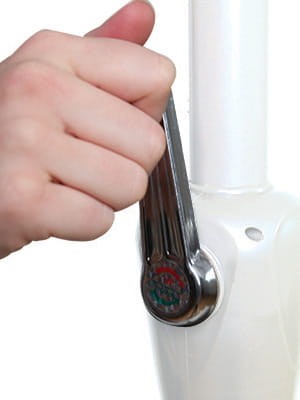 Round Gastronomic Umbrella