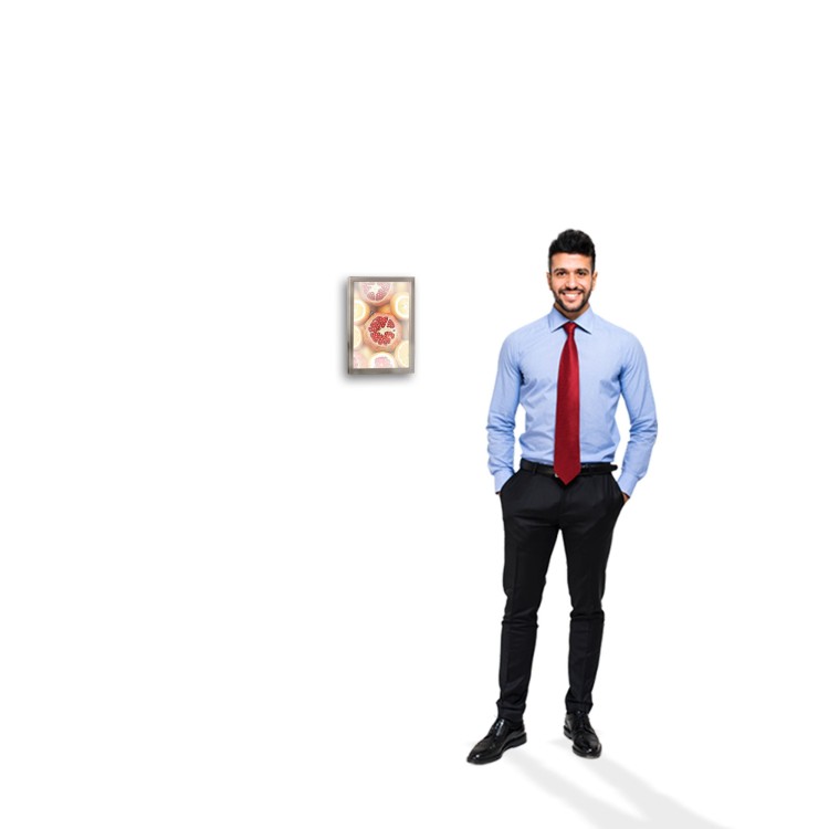 A5 Wall Frame Premium