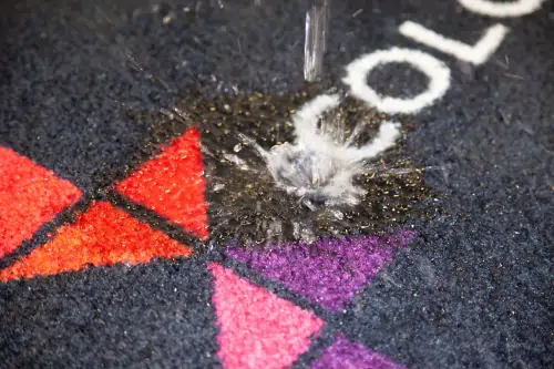 Carpet doormat, Interior Guard Brush floor mat - detail