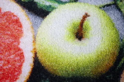 Carpet doormat, Interior Guard Brush floor mat - detail